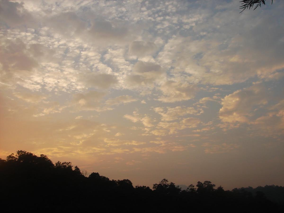 Wild Elephant Eco Friendly Resort Munnar Exteriér fotografie