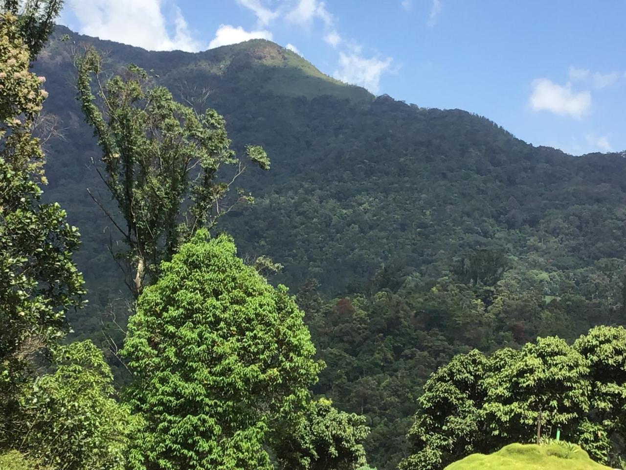 Wild Elephant Eco Friendly Resort Munnar Exteriér fotografie
