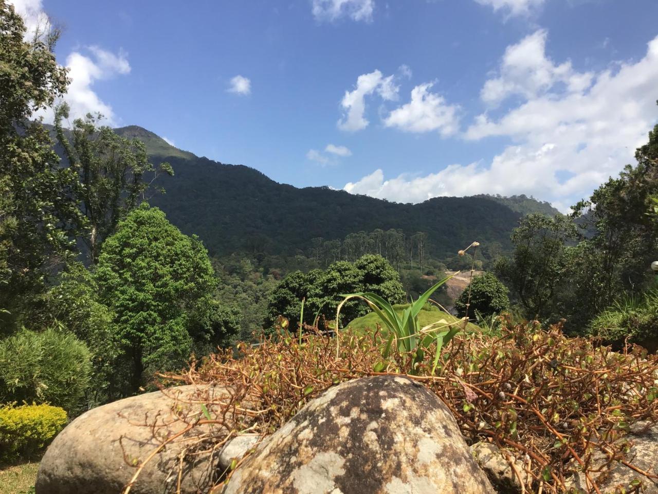 Wild Elephant Eco Friendly Resort Munnar Exteriér fotografie
