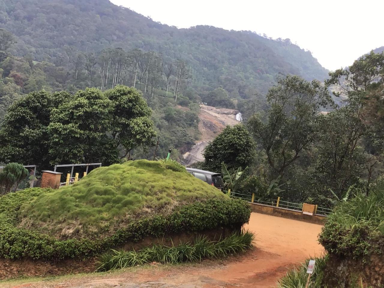 Wild Elephant Eco Friendly Resort Munnar Exteriér fotografie