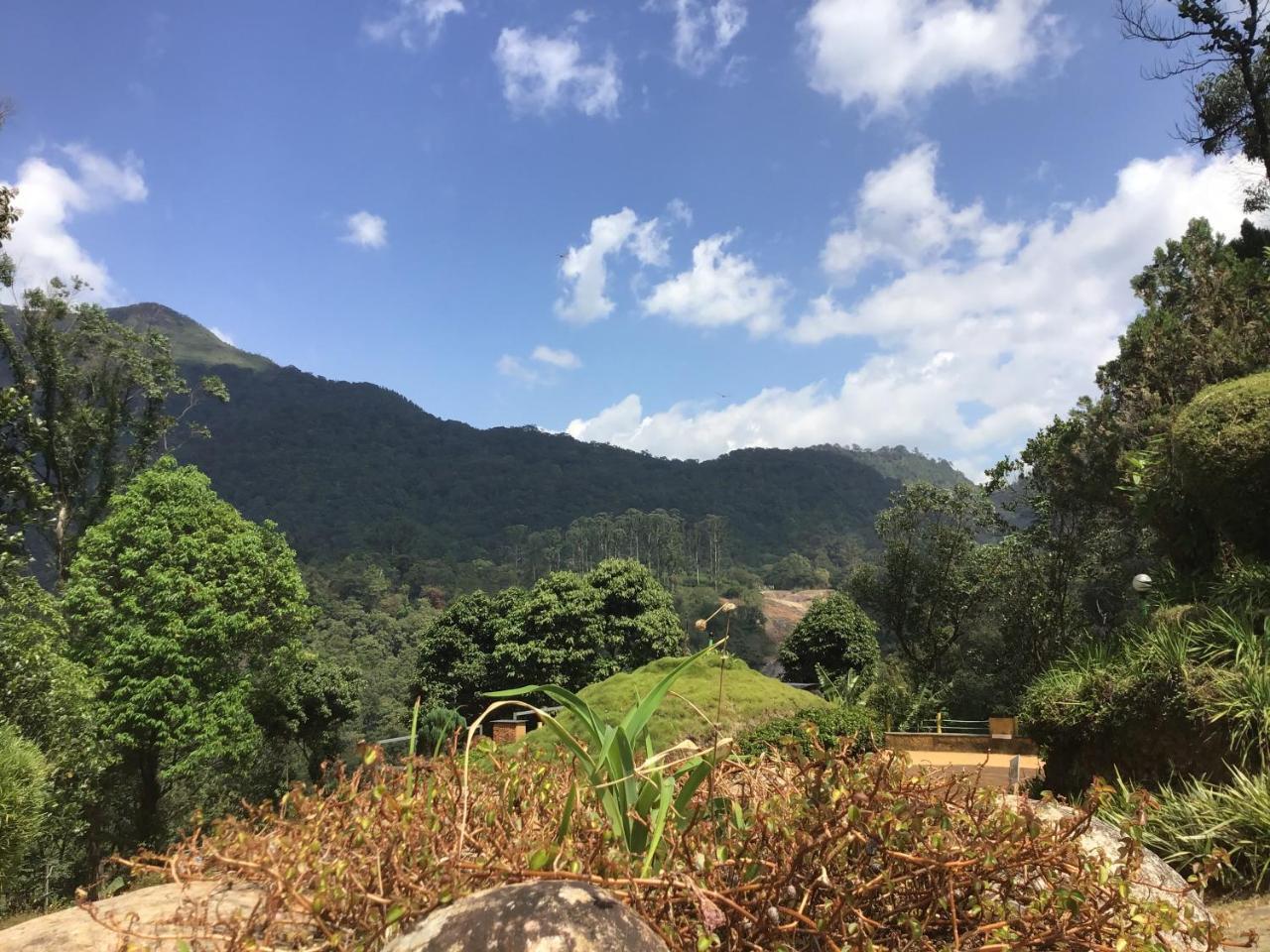 Wild Elephant Eco Friendly Resort Munnar Exteriér fotografie