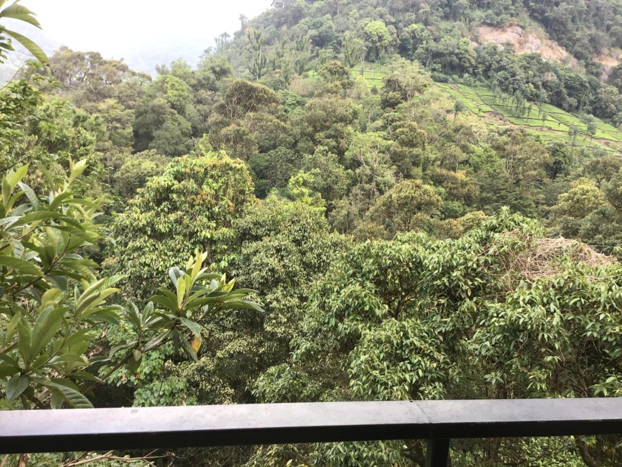 Wild Elephant Eco Friendly Resort Munnar Exteriér fotografie