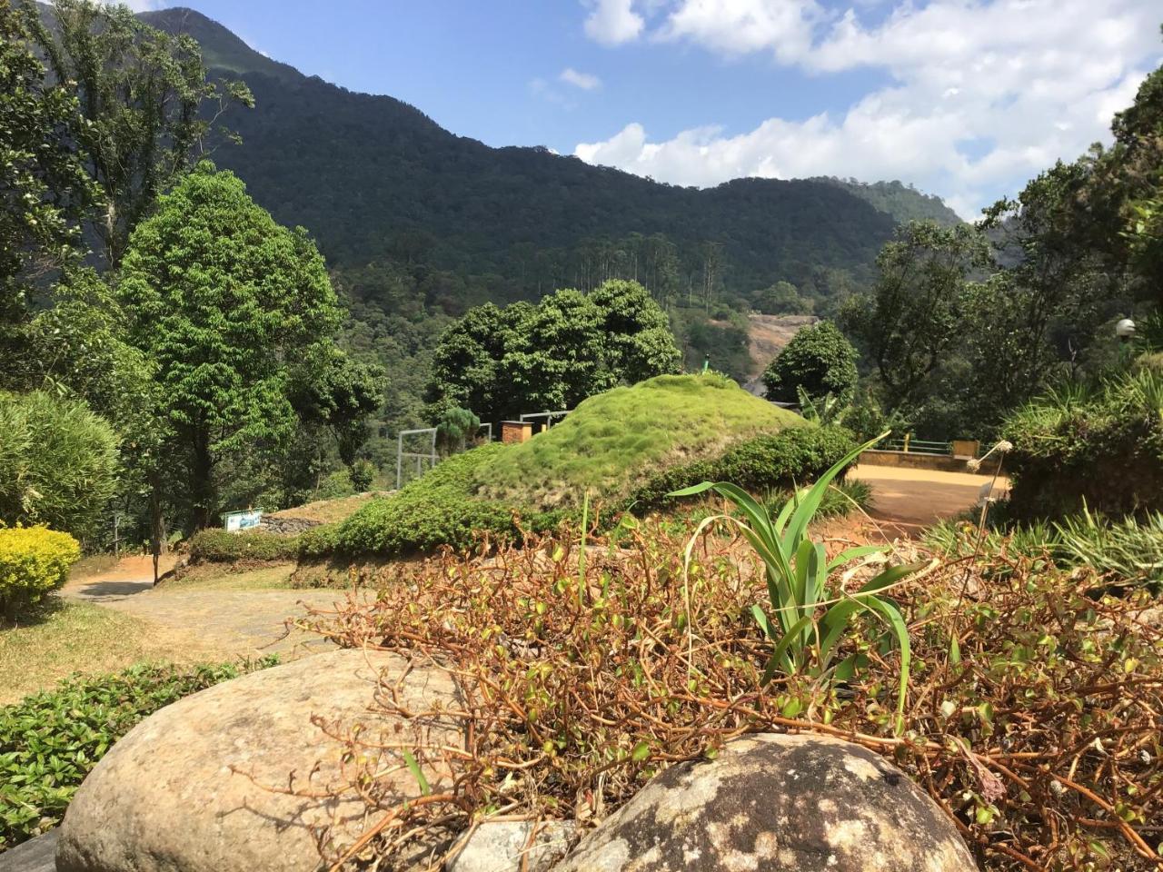 Wild Elephant Eco Friendly Resort Munnar Exteriér fotografie