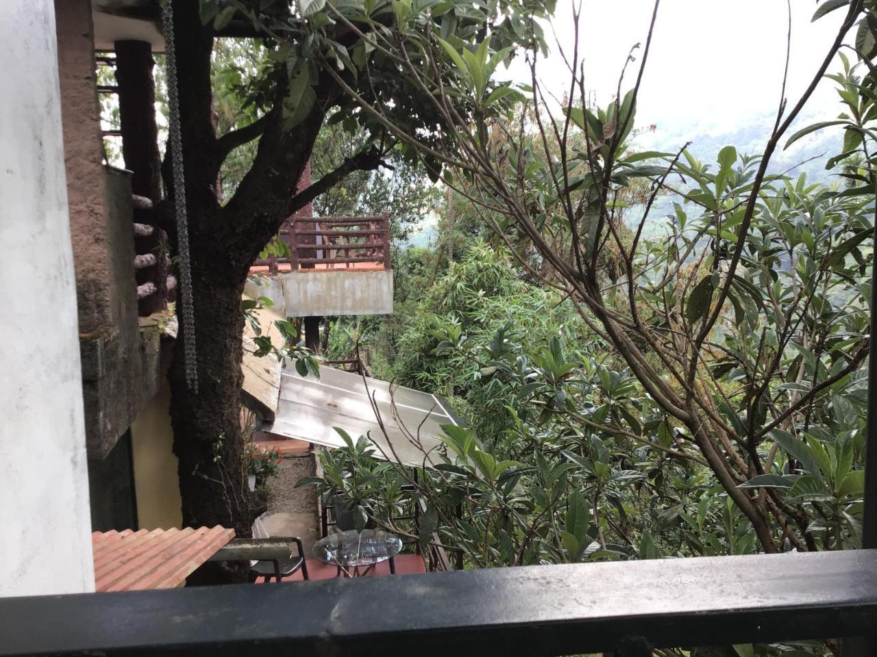 Wild Elephant Eco Friendly Resort Munnar Exteriér fotografie